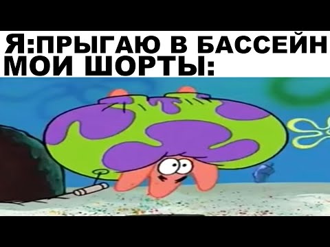 Видео: Мемы | Дневная подборка мемов 297
