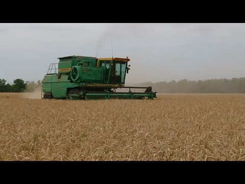 Видео: Уборка пшеницы 2018! ДОН-1500Б. Урожайность 70 ц/га сорт Уруп.