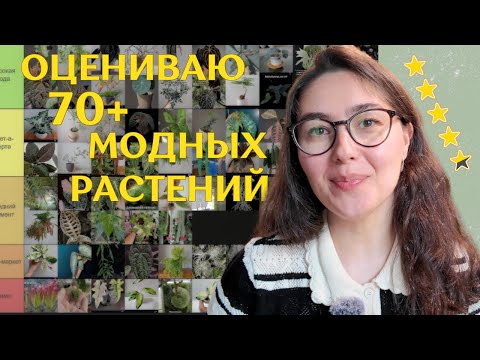 Видео: РАСТЕНИЯ и ТРЕНДЫ | МОДНЫЕ растения, которые  ПРЕДЛОЖИЛИ ПОДПИСЧИКИ | составляю TIER-LIST 🌿
