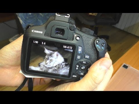 Видео: Не работает автофокус / Не фокусируется зеркалка Canon 1200D