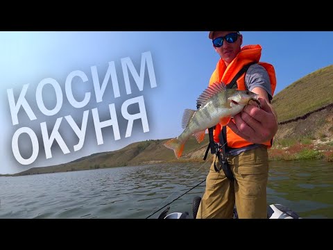 Видео: ЖОР ОКУНЯ! поймал около 200 окуней на отводной поводок с лодки