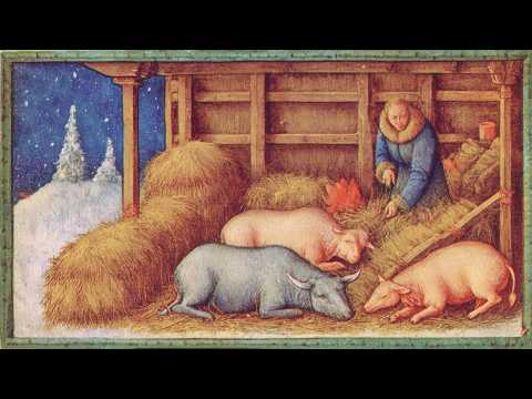 Видео: Как средневековые скандинавские фермеры спасали скот зимой