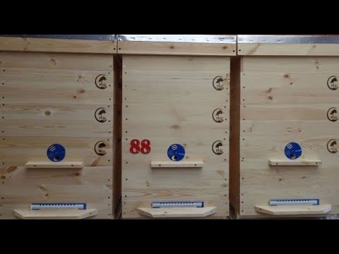 Видео: Новые ульи Калинка 2021 Обновление пасеки Зимовка в Калинках