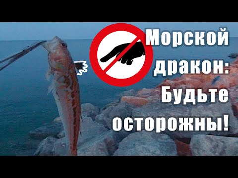 Видео: Большой морской дракон. Черноморский бычок. Бычок-кнут.  Рыбалка. Оснастка. Проводка. Техника ловли.