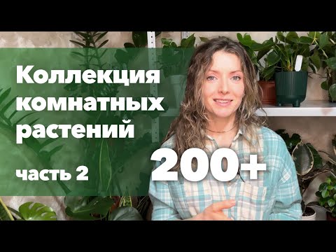 Видео: Обзор моей коллекции комнатных растений (2 часть) » Декабрь 2022