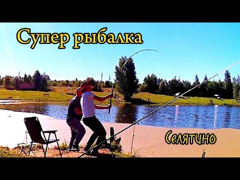 Видео: Карась рвет снасть. Рыбалка в Селятино. Пруд Пионерский.