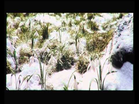 Видео: Заклятье.