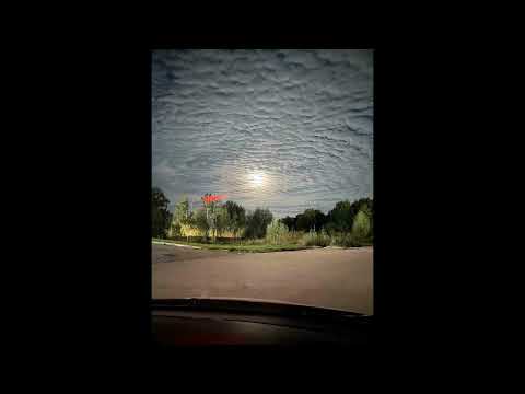 Видео: Ночь. Фонарь. Луна. Звуки леса. Фото автора