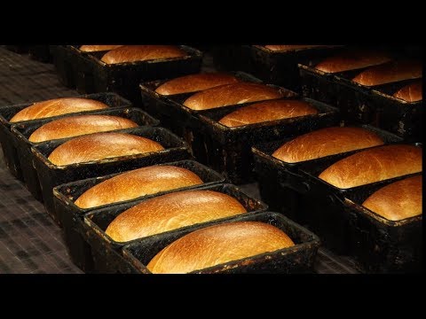 Видео: Бишкекте чыгарылган бөлкө нандар. Таң маанай