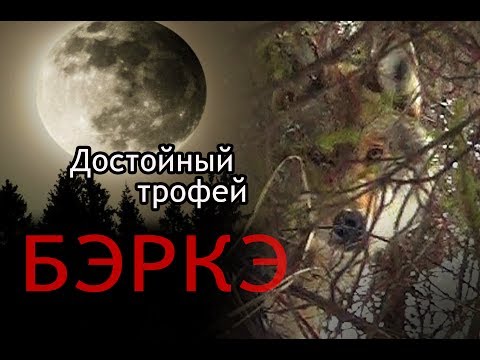 Видео: Охота на волка в Якутии. Достойный трофей.//Wolf hunting in Yakutia. A worthy trophy.