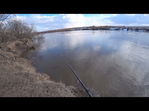 Видео: Открытие сезона 2021 на Оке. Разведка по высокому уровню с разливом