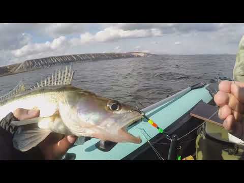 Видео: СУДАК НА БАЛДУ. 14.10.25. БОНУС ЩУКА.