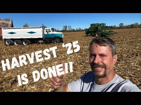Видео: Урожай 2025 года подходит к концу. Как обстоят дела с кукурузой, «поражённой птицами»?