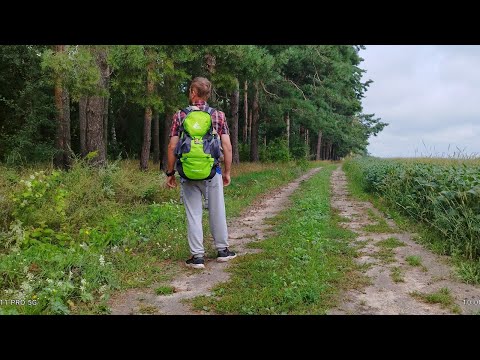 Видео: Соло похід.Хек в томаті