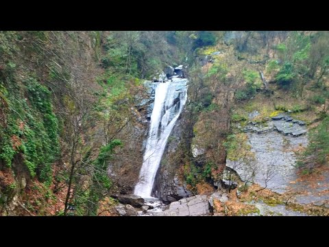 Видео: Водопад высоко в горах, опасные лестницы, странные деревья