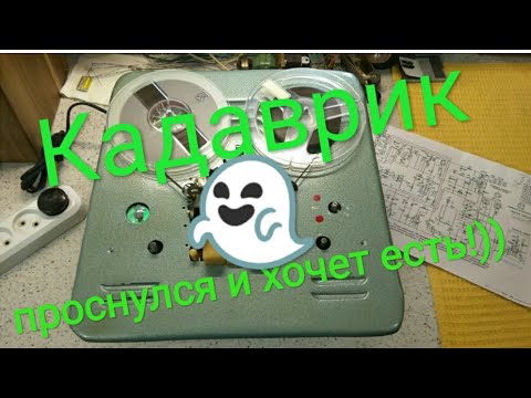 Видео: "Кадаврик" оживает! 🎉