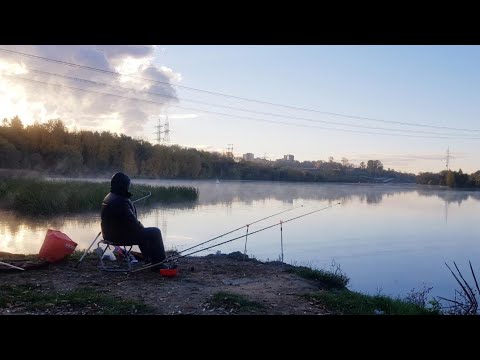 Видео: АКВАТОРИЯ - рыбалка на Москва реке, Марьино