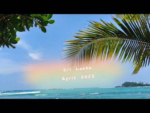 Видео: 2023, апрель. Joes resort Unawatuna 3*, Sri Lanka.