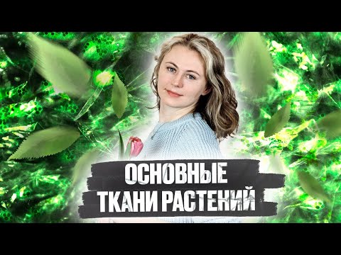 Видео: Основные ткани растений | Биология ЕГЭ