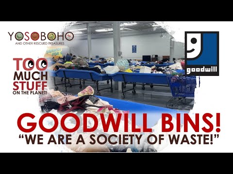 Видео: ЭКОНОМЬТЕ С НАМИ в Cleveland GOODWILL BINS! 💕 Я превращаю 16 долларов в более чем 200 долларов!