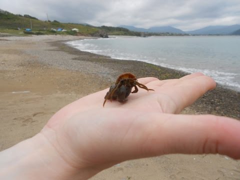 Видео: Каменка 2. Это родина моя!