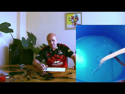 Видео: Препарати за агрозащита и алтернативни вещества II ЧАСТ / Биологични фунгициди и бактерициди.