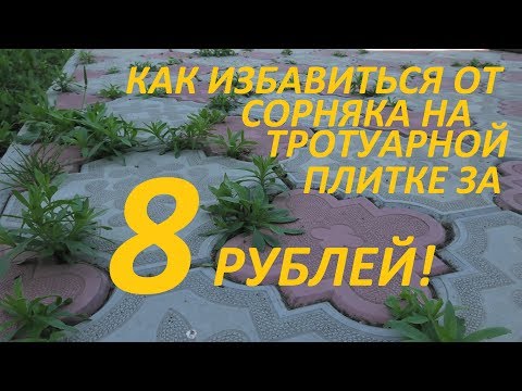 Видео: Как избавиться от сорняка на тротуарной плитке за 8 рублей