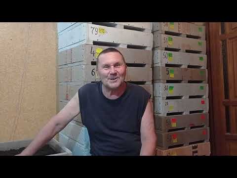 Видео: Триходерма. Завершение. Ответы на вопросы.