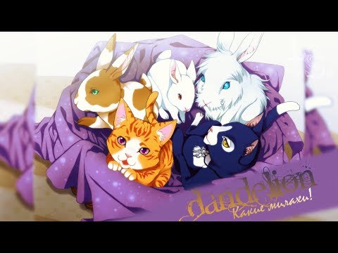 Видео: ОДУВАНЧИКИ И КРАСИВЫЕ МАЛЬЧИКИ (Dandelion ~Wishes Brought To You~)