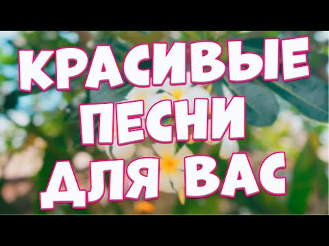 Видео: Заходи и Слушай! Здесь самые Лучшие песни!