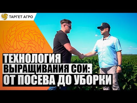 Видео: Технология выращивания сои: от посева до уборки