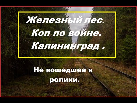 Видео: Коп в Железном лесу.Калининград. WW2/ По местам  боев за Кенигсберг.