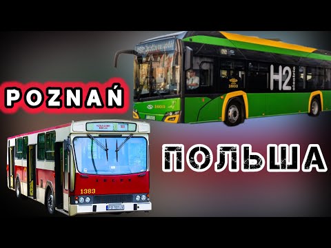 Видео: На чём ездят ПОЛЯКИ ? Автобусы в Польше ( Познань )