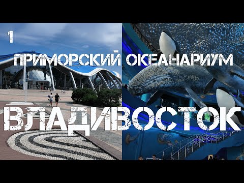 Видео: Владивосток остров Русский,Приморский океанариум (первый фрагмент,12 августа 2025).
