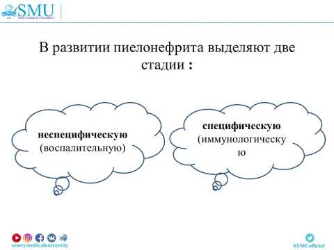 Видео: Инфекции мочевой системы у детей