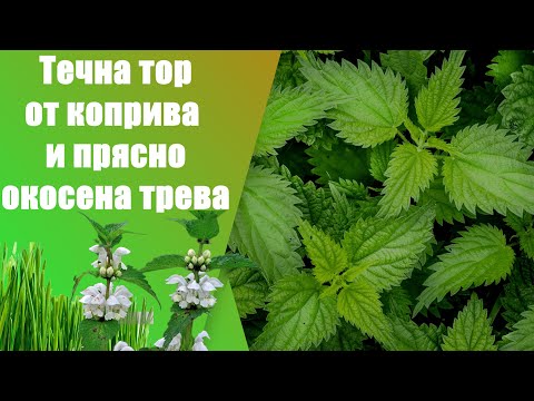 Видео: Как да си направим натурална течна тор от КОПРИВА и прясно окосена ТРЕВА - стъпка по стъпка, сами :)