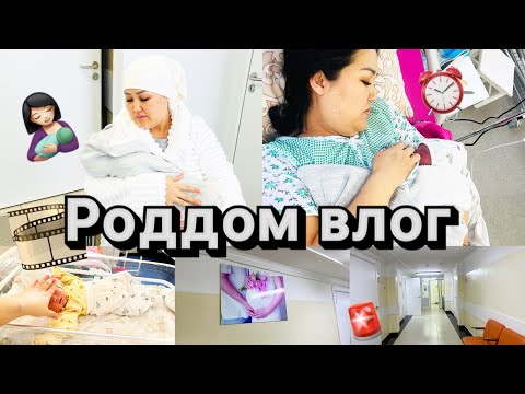 Видео: Vlog🎬Роддомдағы үш күнім🚨🤱🏻😰❤️