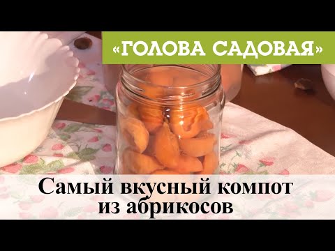 Видео: Голова садовая - Самый вкусный компот из абрикосов