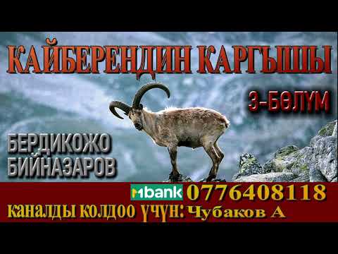 Видео: КАЙБЕРЕНДИН КАРГЫШЫ \ 3-БӨЛҮМ \ БЕРДИКОЖО БИЙНАЗАРОВ