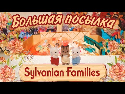 Видео: ОГРОМНАЯ посылка с SYLVANIAN FAMILIES 🐰🐹🐶 unboxing second hand