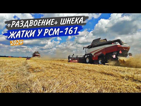 Видео: Трудности в уборке полегшего хлеба. Схлестнулись с "конкурентом" на JD 6170M.