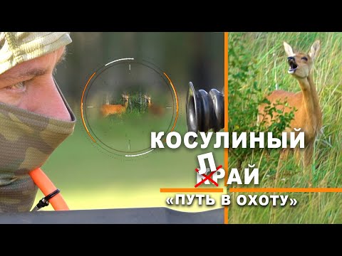 Видео: На косулю с манком
