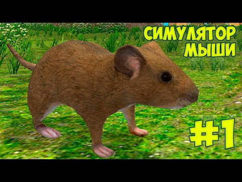 Видео: СИМУЛЯТОР маленькой МЫШИ Ухаживаю за питомцем и строю дом для мышонка