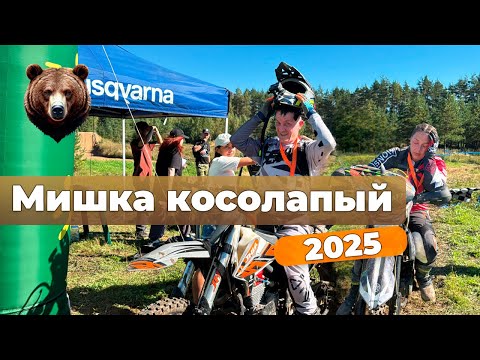 Видео: Мишка косолапый 2025