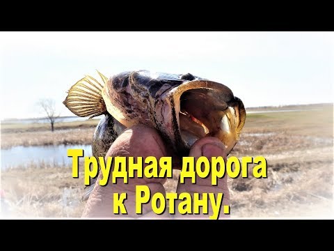 Видео: Рыбалка на Ротана весной на удочку с боковым кивком .