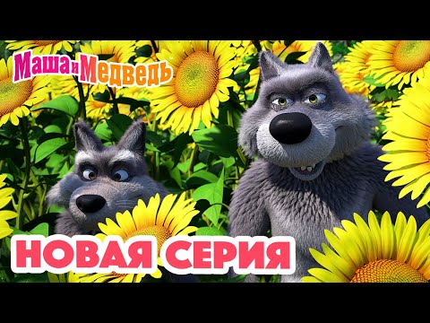 Видео: Маша и Медведь💥НОВАЯ СЕРИЯ!💥Раз - картошка, два - морковка!🥬🧅 Коллекция мультиков для детей про Машу