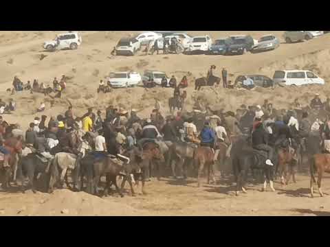 Видео: 2025 Бузкаши дар шахри Турсунзода дехаи Шулунг Купкари 