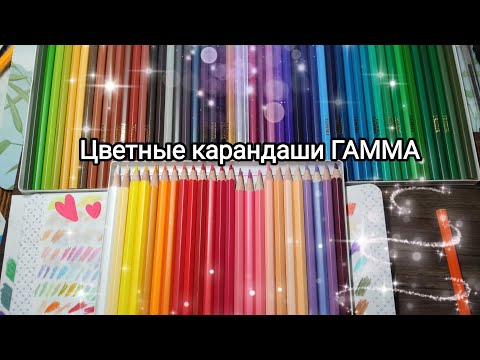 Видео: Обзор новых цветных карандашей ГАММА!🖍️🌿 БЮДЖЕТНОЕ КАЧЕСТВО?🤔