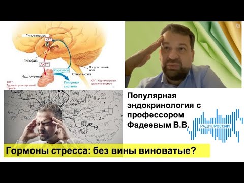 Видео: Гормоны стресса: без вины виноватые?