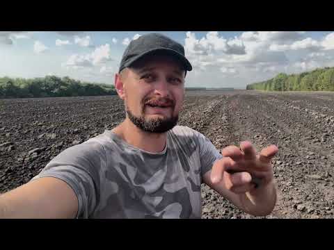 Видео: Пошуки монет і інших знахідок. Коп монет 2025